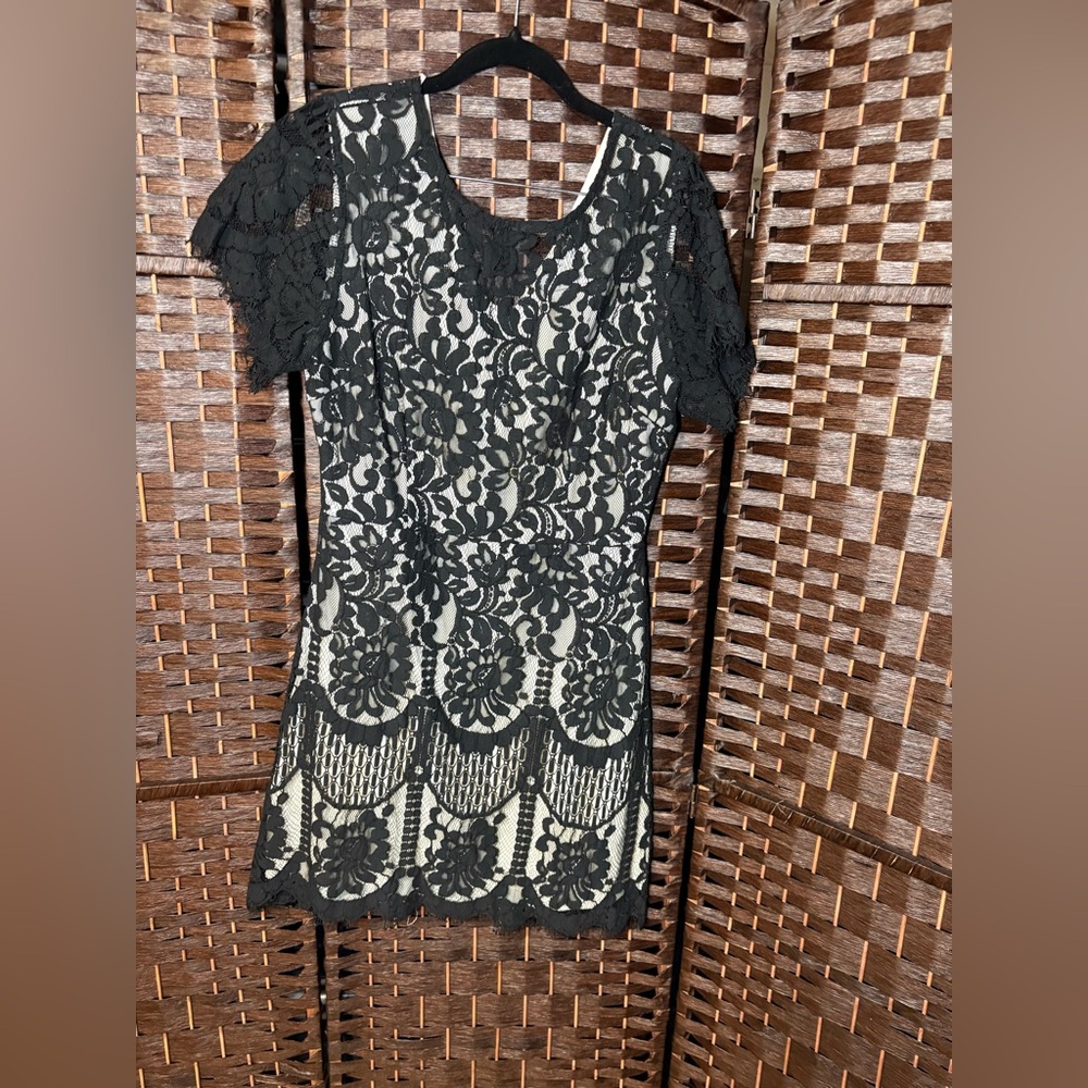 MSLG Black Lace Overlay Cocktail Dress – Size Large